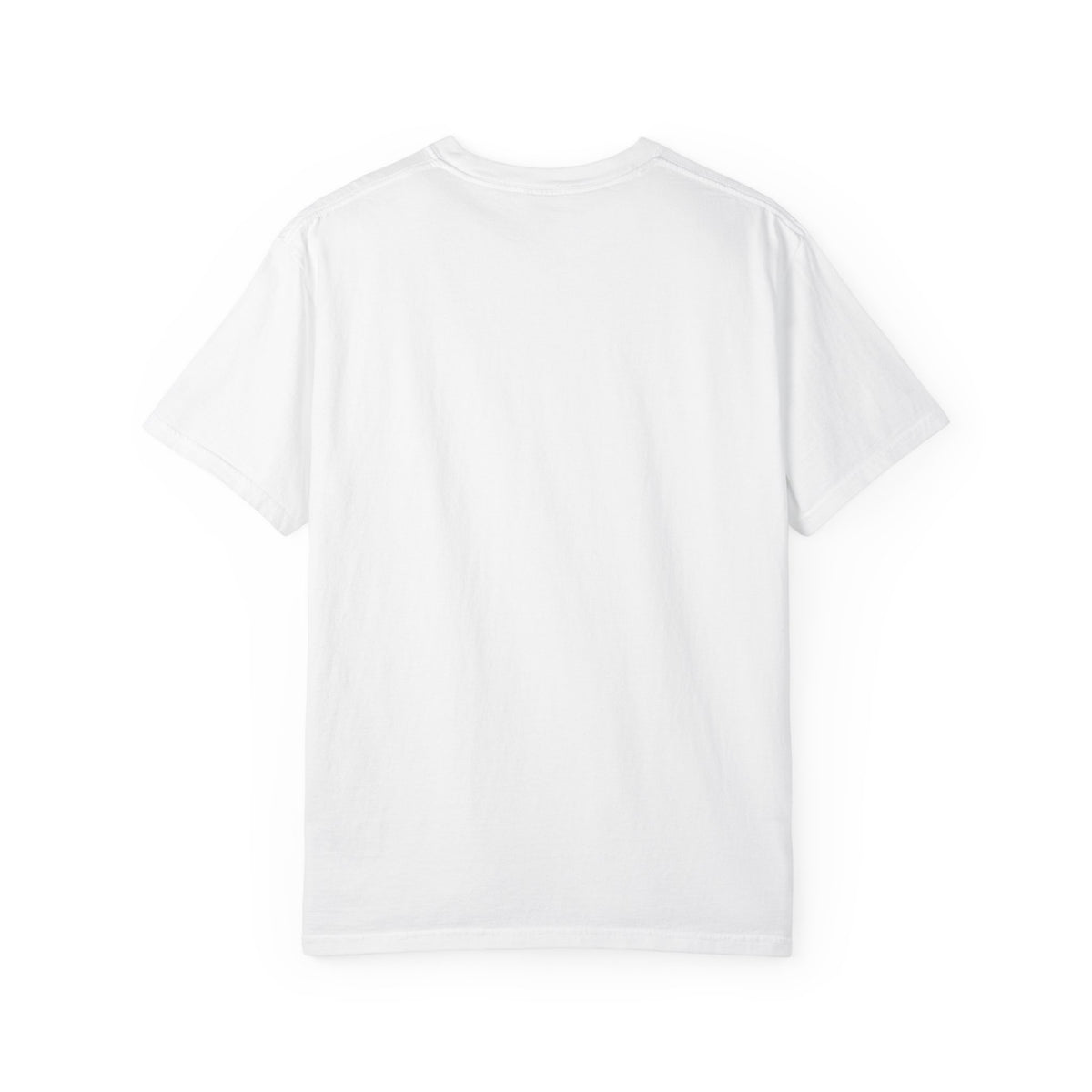 I Came I Saw I Decided To Go Home T-Shirt