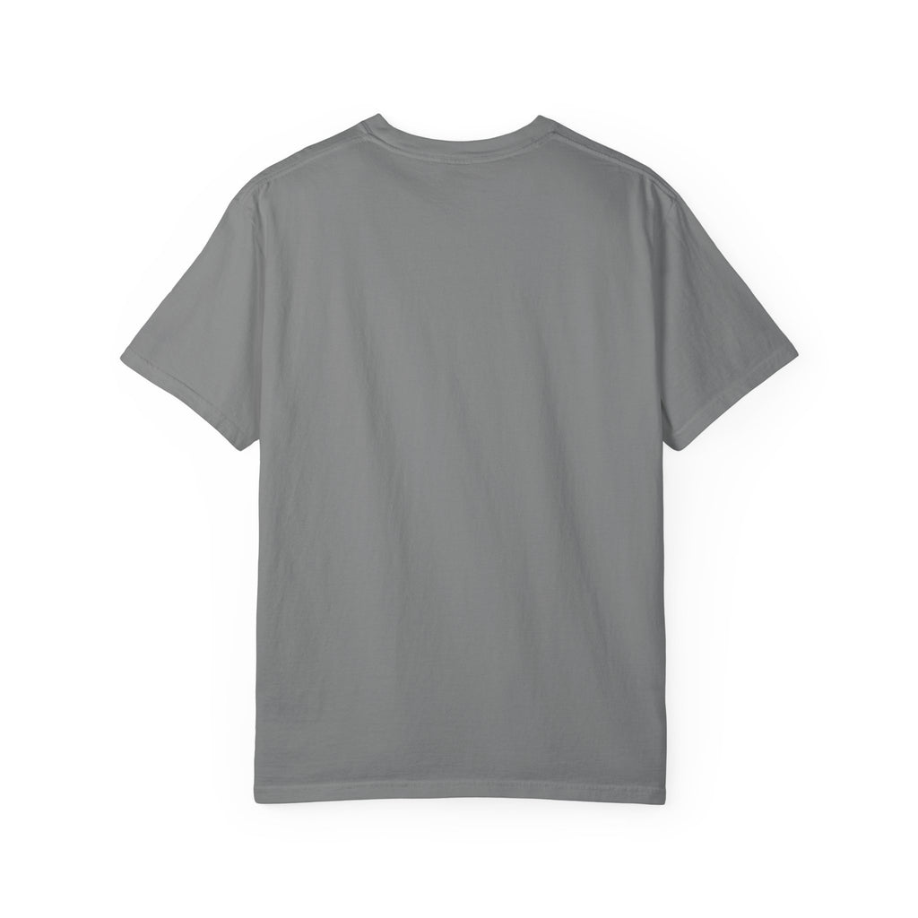 I Came I Saw I Decided To Go Home T-Shirt