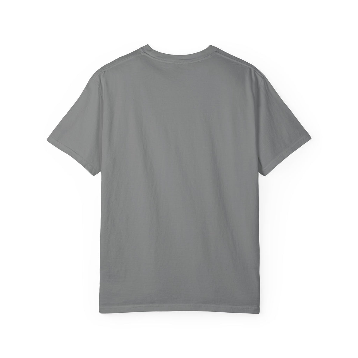 I Came I Saw I Decided To Go Home T-Shirt