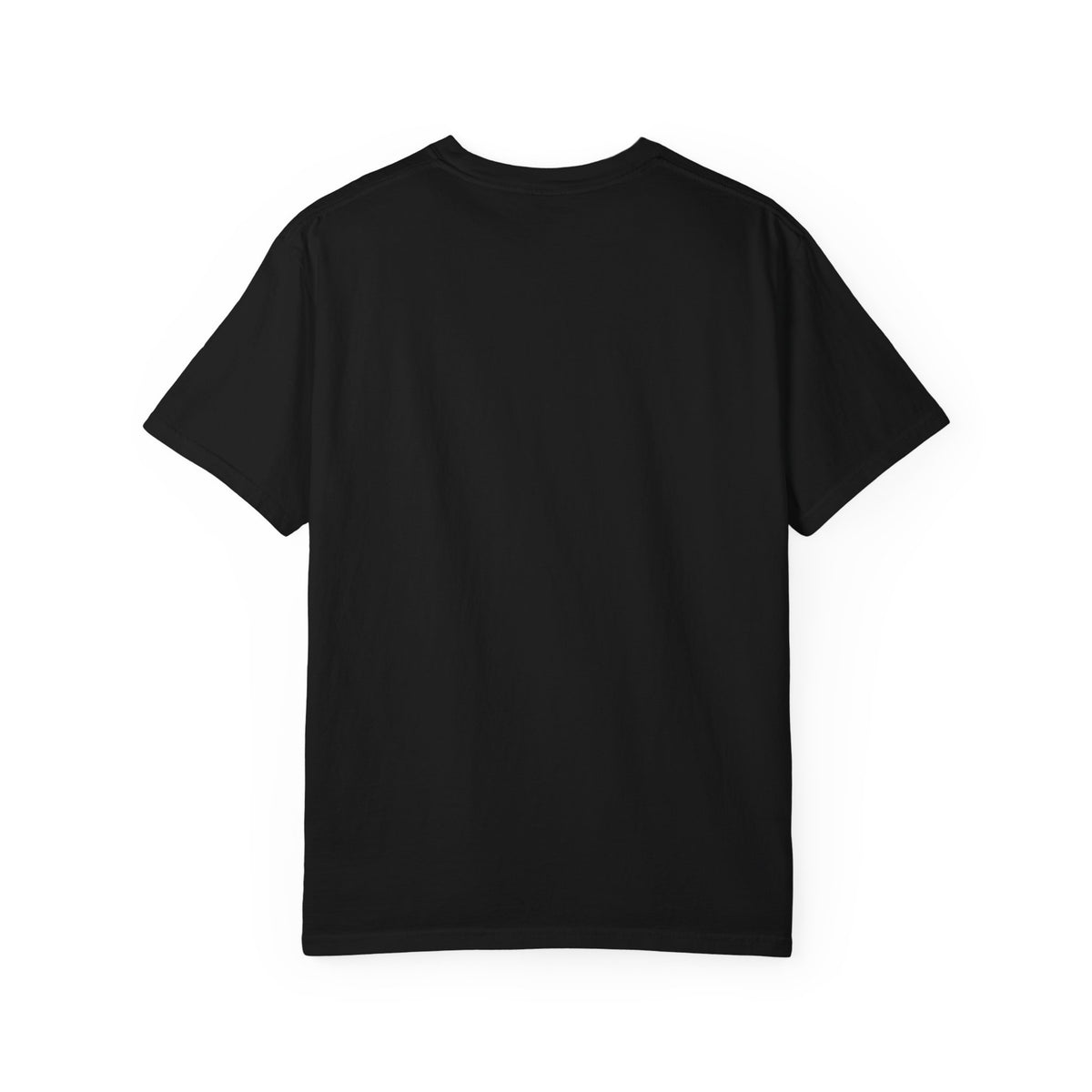 I Came I Saw I Decided To Go Home T-Shirt