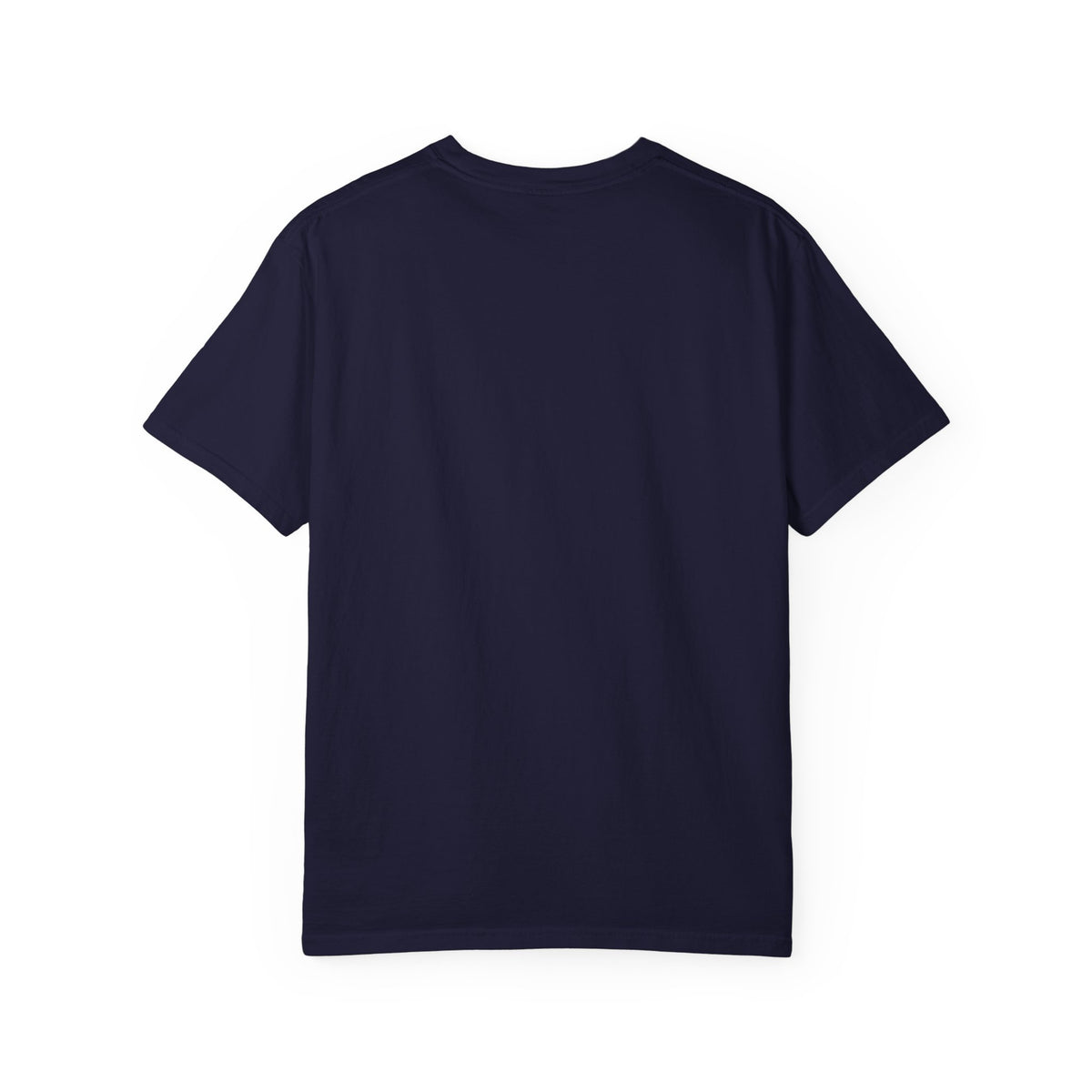 I Came I Saw I Decided To Go Home T-Shirt