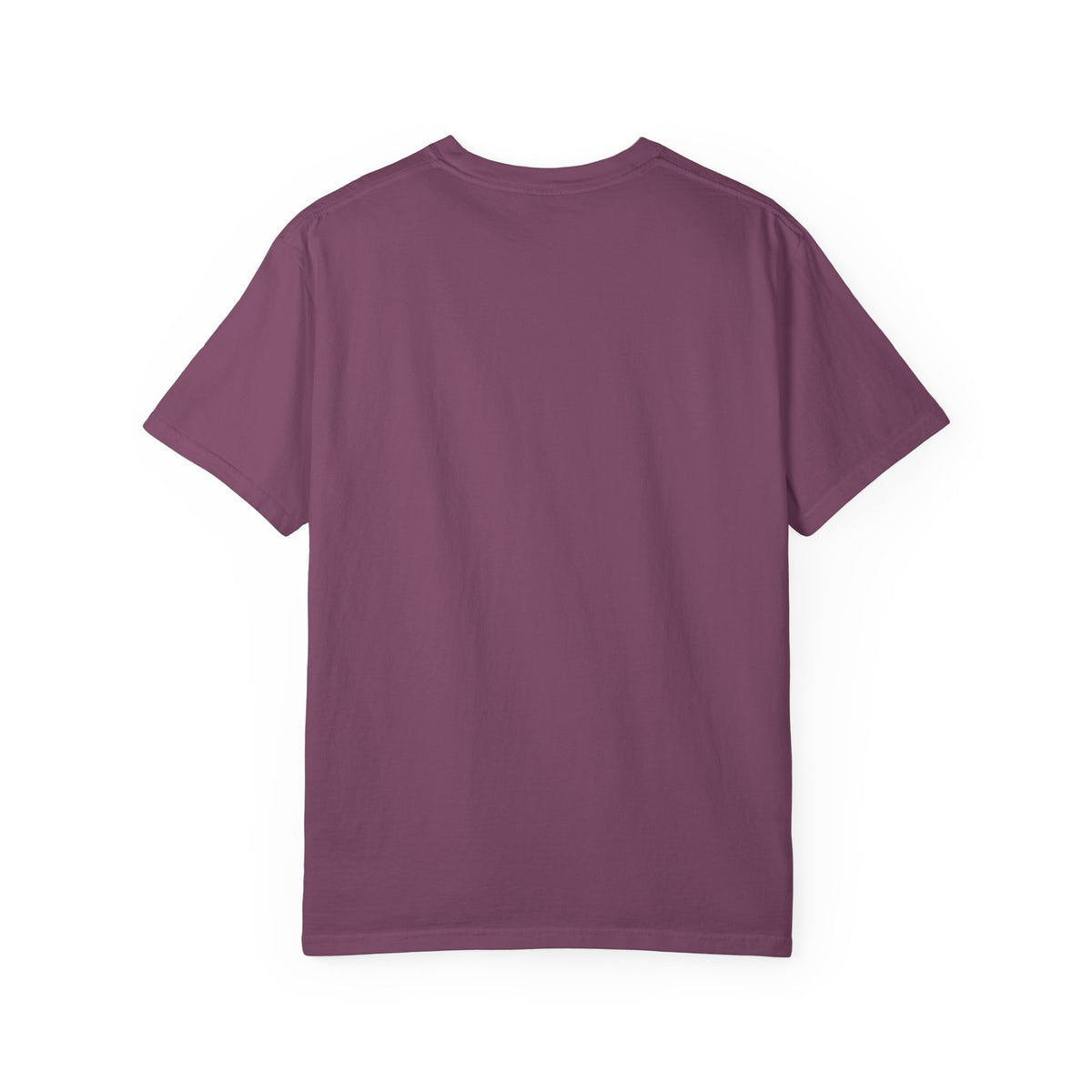 I Came I Saw I Decided To Go Home T-Shirt